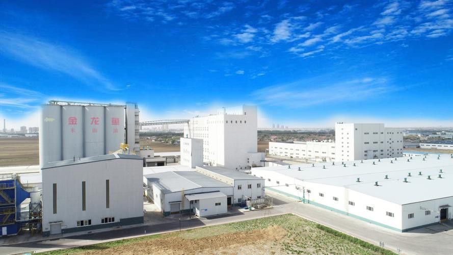 白城金龍魚公司簡介圖片高清大全