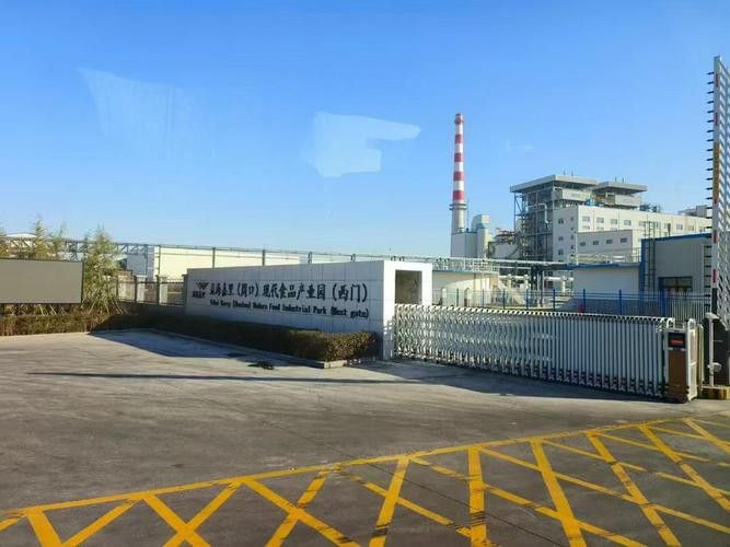 白城金龍魚公司簡介圖片高清大全