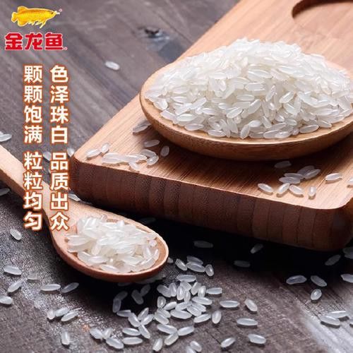 白城金龍魚公司簡介圖片高清大全