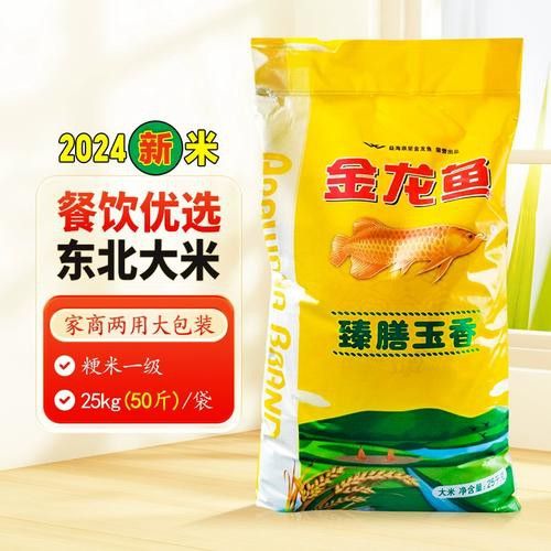 白城金龍魚公司簡介圖片高清大全