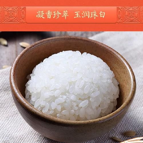 白城金龍魚公司簡介圖片高清大全