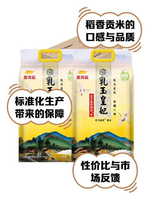 白城金龍魚公司簡介圖片高清大全