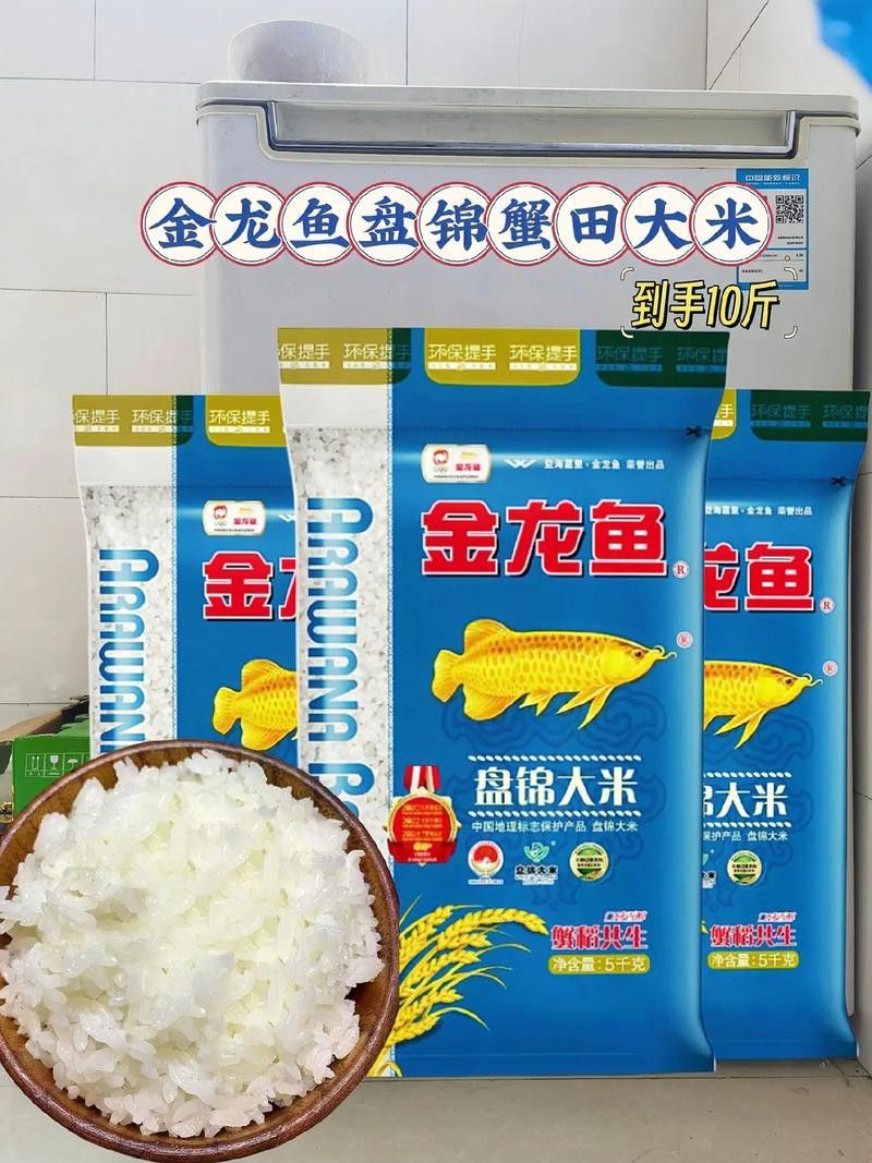 白城金龍魚公司簡介圖片高清大全