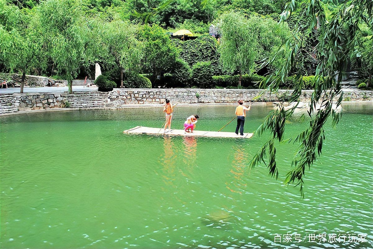 金龍?zhí)队心男┱湎?dòng)植物？