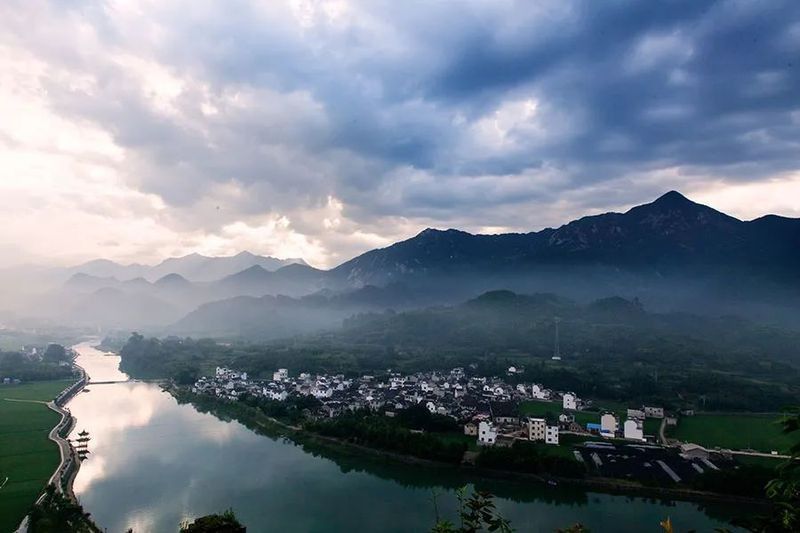 金龍?zhí)队心男┱湎?dòng)植物？