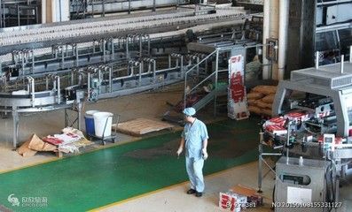 金龍魚員工算國企正式員工嗎（金龍魚員工屬于國企正式員工嗎？）