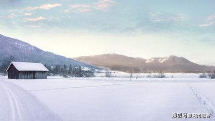 為什么龍魚身上有小洞呢怎么回事：為什么龍魚身上有小洞呢？ 為什么龍魚身上有小洞呢怎么回事：為什么龍魚身上有小洞呢？ 龍魚百科 第2張