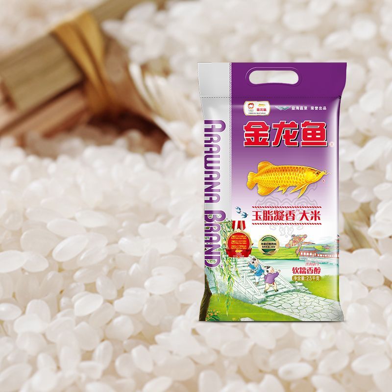 巴卡雷龍魚飼養(yǎng)技巧分享，巴卡雷龍魚繁殖技巧詳解