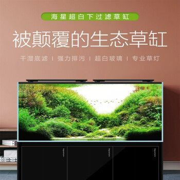 龍魚過濾系統什么牌子的好，森森森集團、博宇boyu、博宇boyu、博宇boyu品牌及其特點