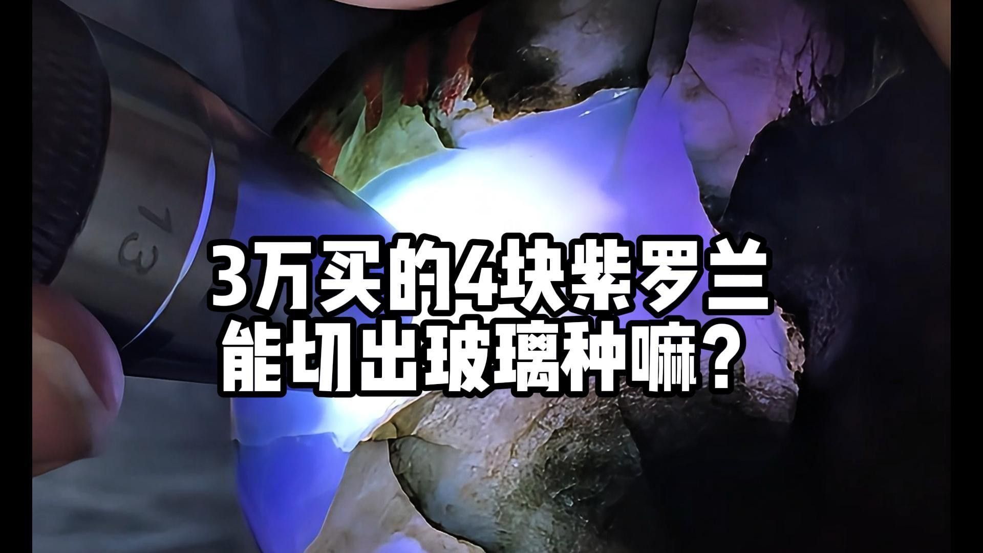 紅龍魚怎么分辨公母【ai搜集總結：紅龍魚母魚公母的區別分析關鍵詞紅龍魚公母的區別】