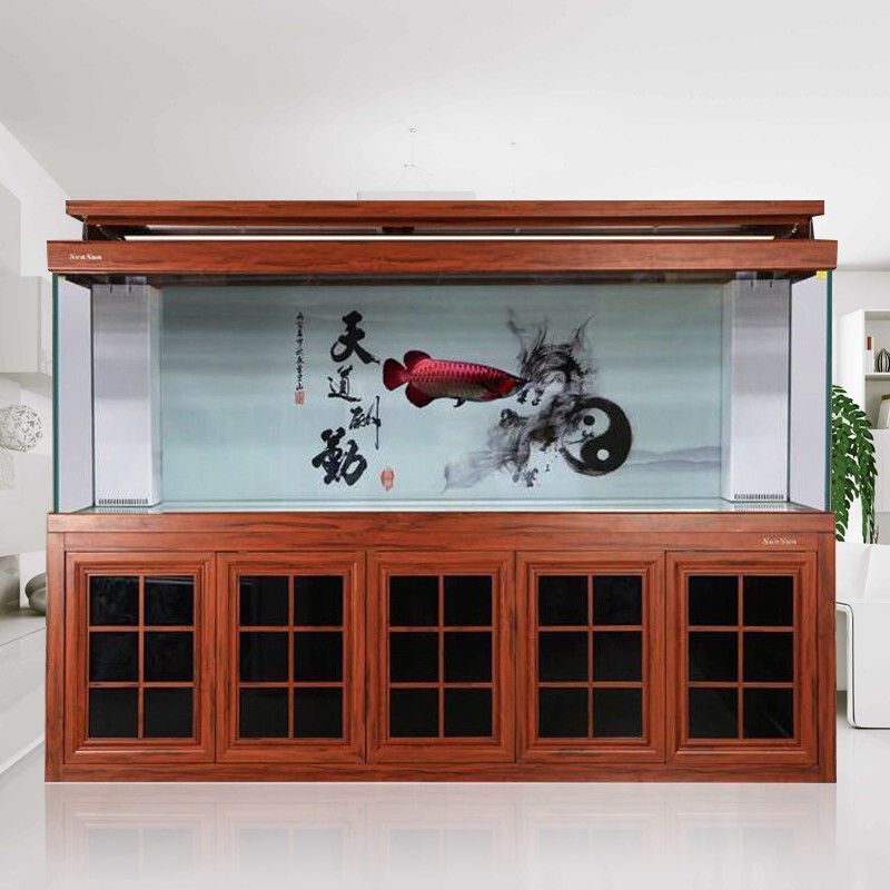 冬天龍魚缸溫度多少合適（關于冬季龍魚缸的溫度控制的具體建議龍魚水溫多少合適）