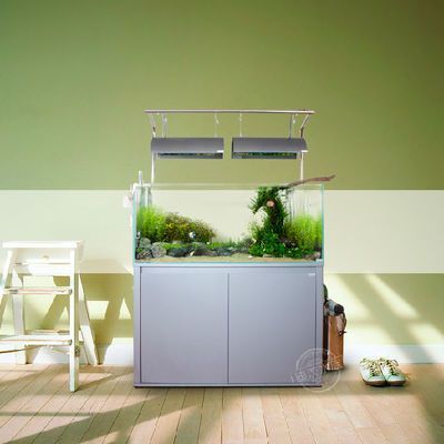 冬天龍魚缸溫度多少合適（關于冬季龍魚缸的溫度控制的具體建議龍魚水溫多少合適）