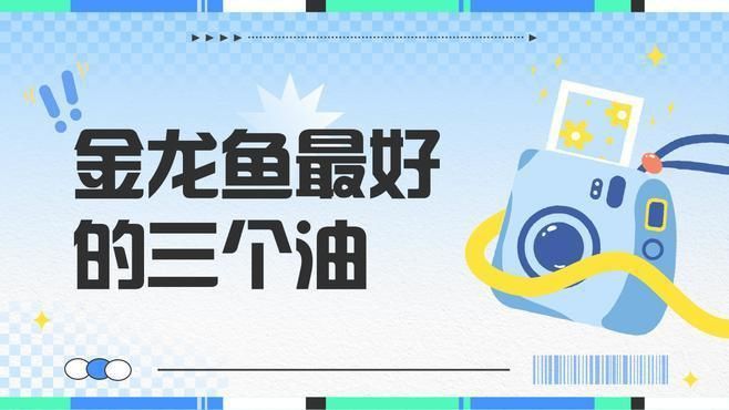 金龍魚建議買什么油