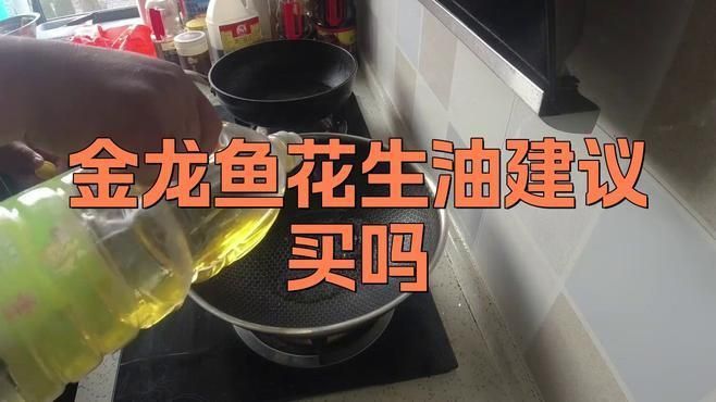 金龍魚建議買什么油