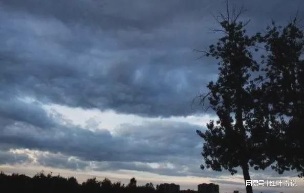 龍最尊貴三個等級