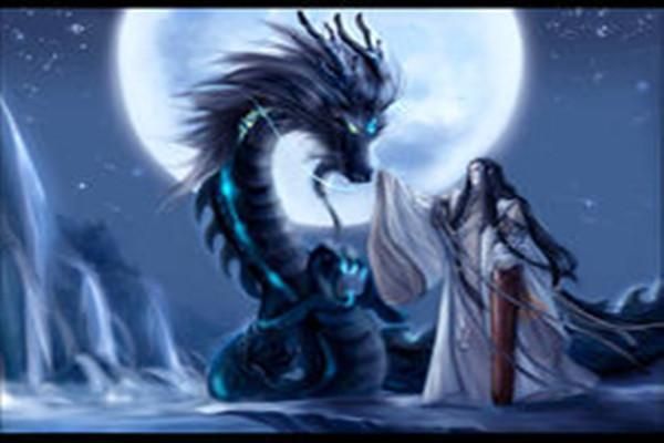 龍最尊貴三個等級