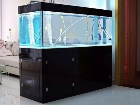 一米的魚缸怎么做（如何選擇魚缸過濾器魚缸照明系統(tǒng)推薦魚缸維護(hù)常見問題）