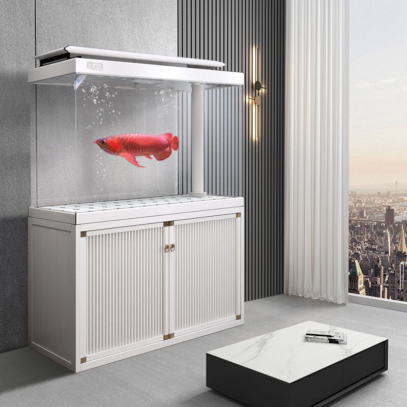 龍魚缸的最佳尺寸長寬高？：養龍魚缸的最佳尺寸選擇龍魚缸的最佳尺寸是多大尺寸