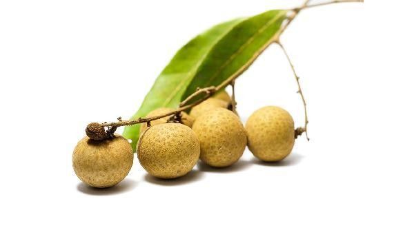 龍眼表皮白色物質(zhì)有害嗎