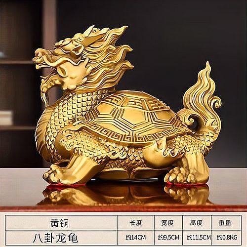 龍龜放魚缸有哪些好處？