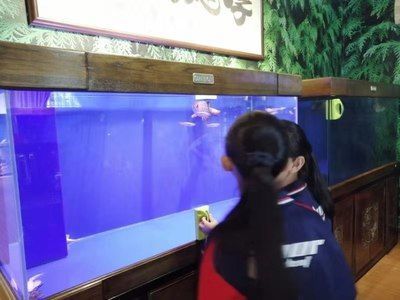 廣州水族批發市場祥龍魚場電話號碼：廣州水族批發市場祥龍魚場