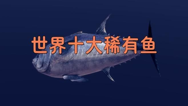 這些魚中哪種最稀有？