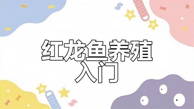 霸氣紅龍魚圖片欣賞