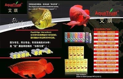 品相好的龍魚多少錢：高檔觀賞魚價格受到多種因素影響龍魚價格差異明顯