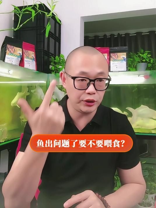 金龍魚受傷期間需要禁食嗎？