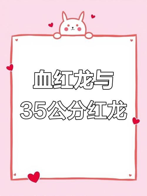 龍魚進(jìn)口流程視頻教程下載：龍魚進(jìn)口流程教程