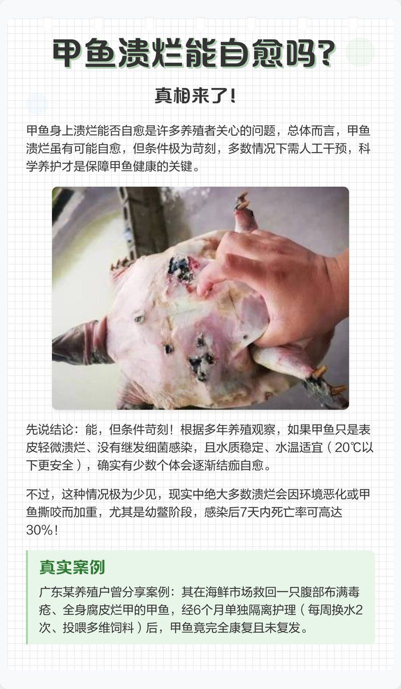 魚身上潰爛能自愈嗎