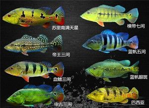 淮南龍魚火鍋哪家好吃點兒：淮南幾家口碑較好的龍魚火鍋店：賢合莊鹵味火鍋