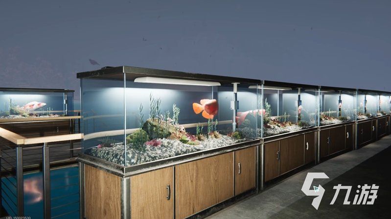 金龍魚漁場最厲害三個地方