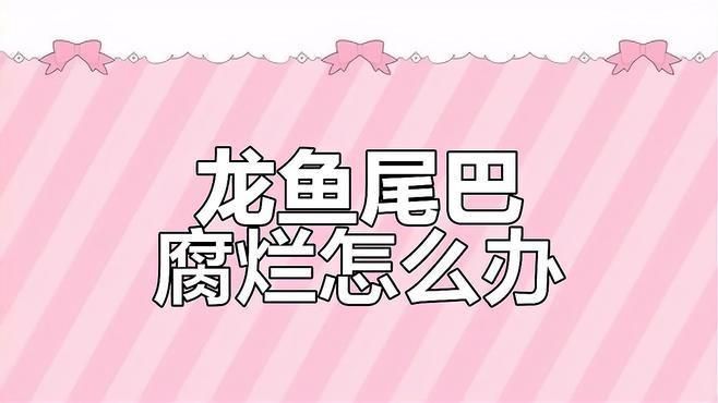 龍魚真菌感染如何治療？