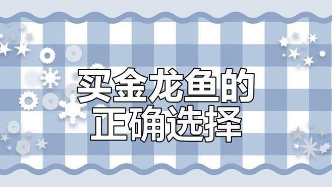 如何判斷過背金龍魚的品相？