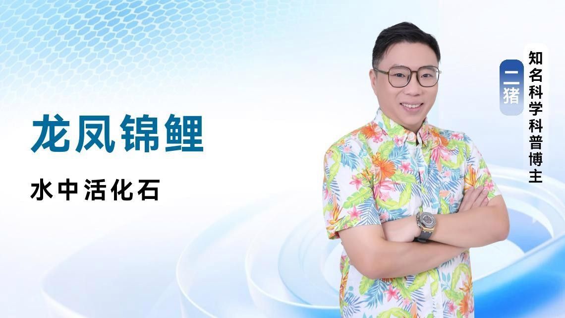 龍鳳魚哪個品種最稀有？