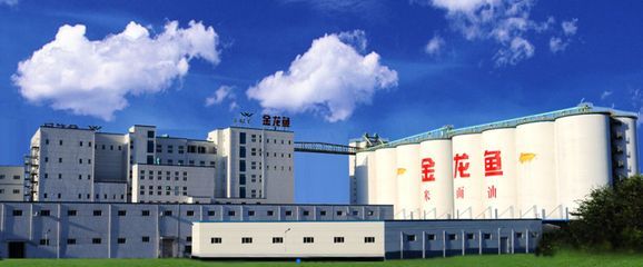 金龍魚外資還是國企，新加坡企業在華投資趨勢
