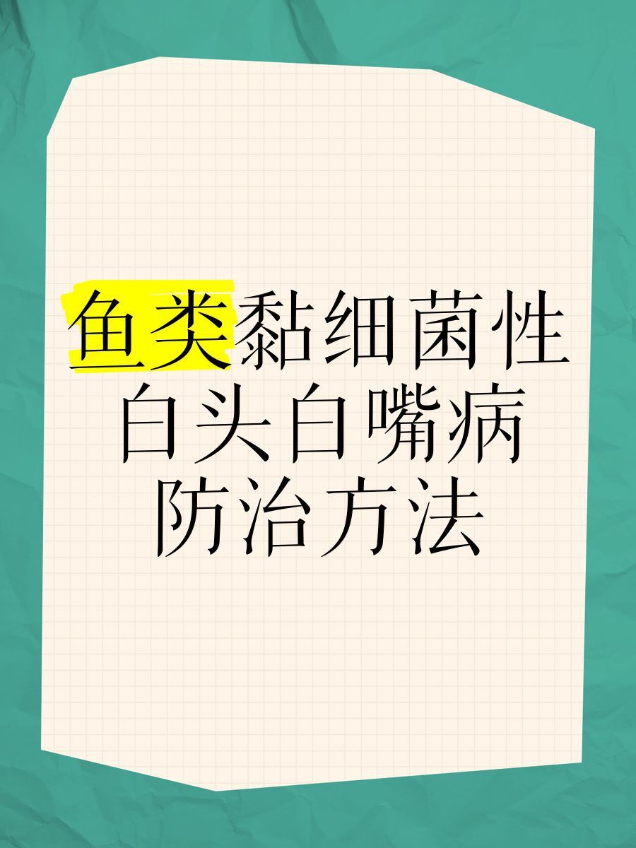 魚嘴凸起白色包會自愈嗎？