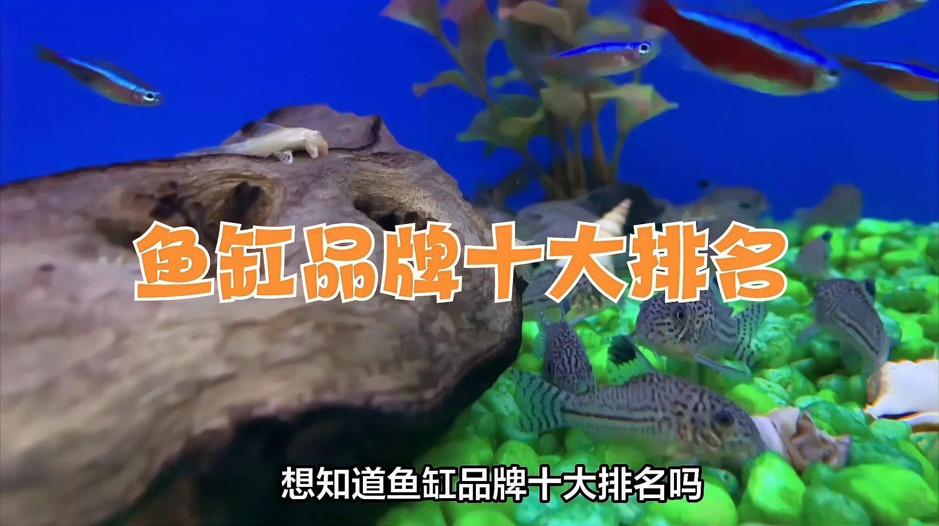 森森和閩江哪個品牌更好？