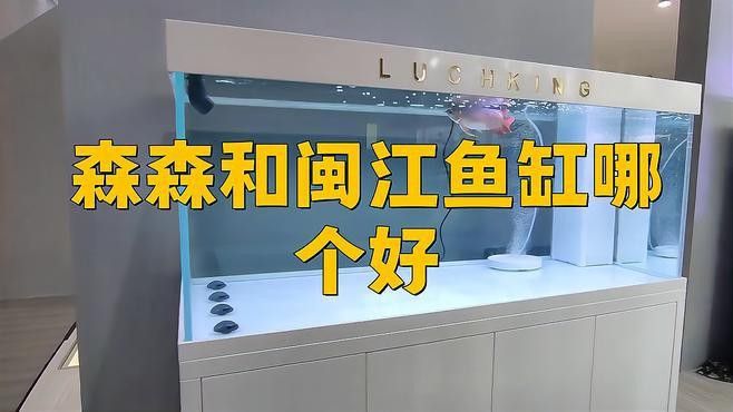 森森和閩江哪個品牌更好？