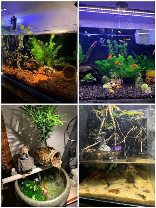 森森和閩江哪個品牌更好？