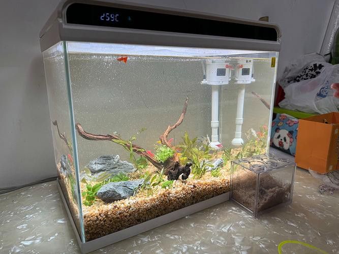 森森和閩江哪個品牌更好？