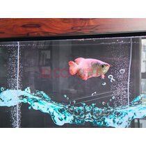 馬印燈官方旗艦店