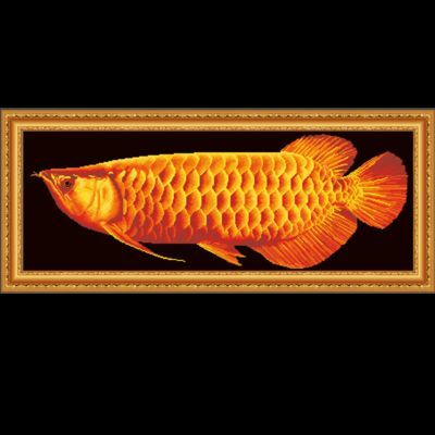 送金龍魚十字繡的寓意和象征：送金龍魚十字繡的寓意和象征金龍魚十字繡的寓意和象征