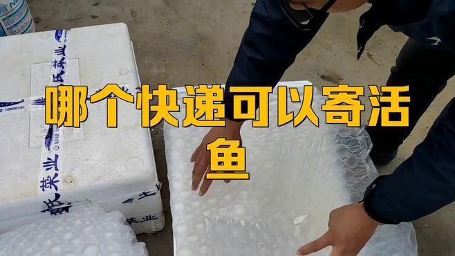 哪個快遞可以寄活魚 哪個快遞可以寄活魚 龍魚百科 第1張