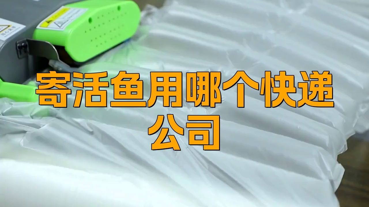 哪個快遞可以寄活魚 哪個快遞可以寄活魚 龍魚百科 第2張