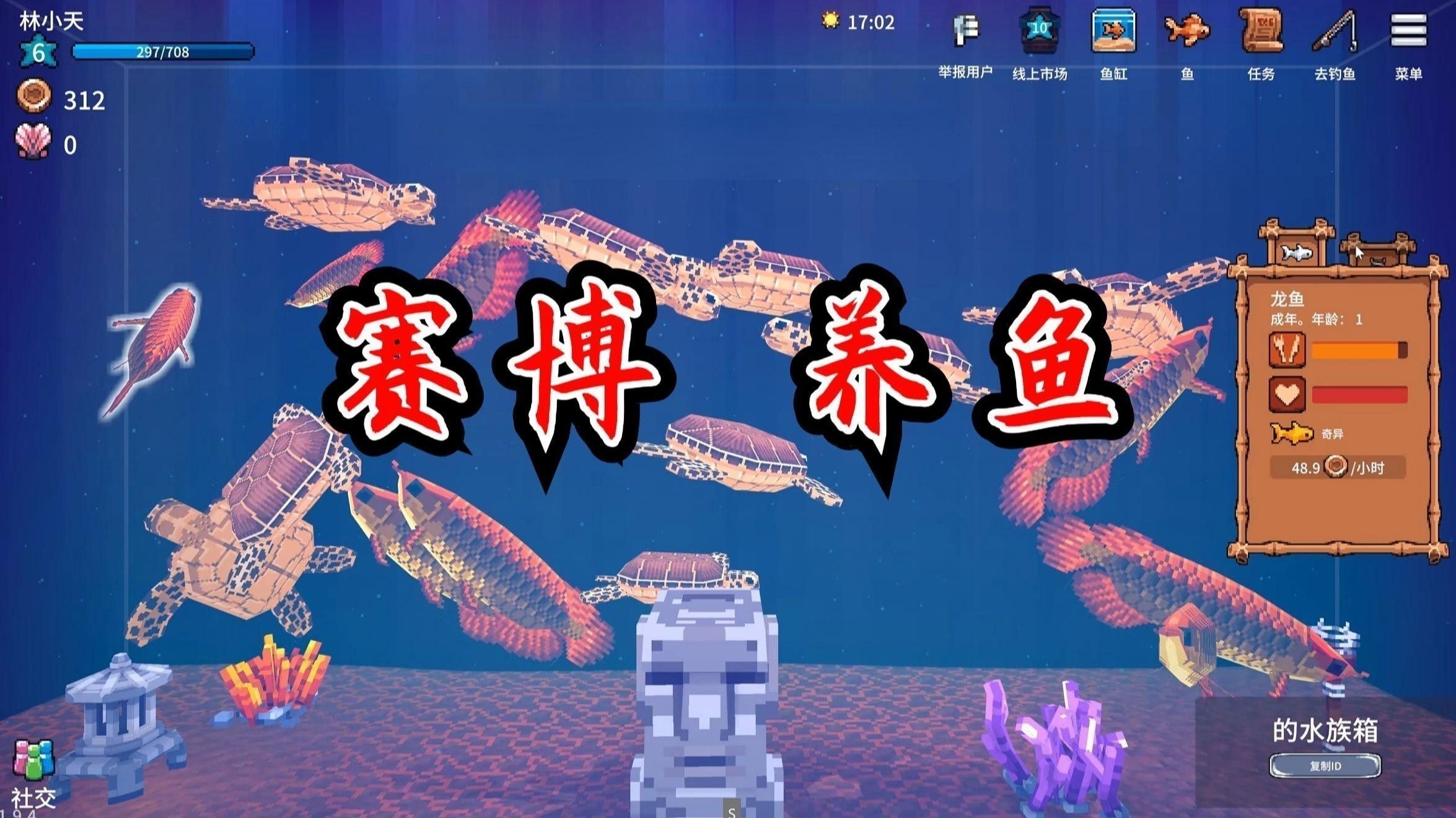 星點龍魚混養注意事項