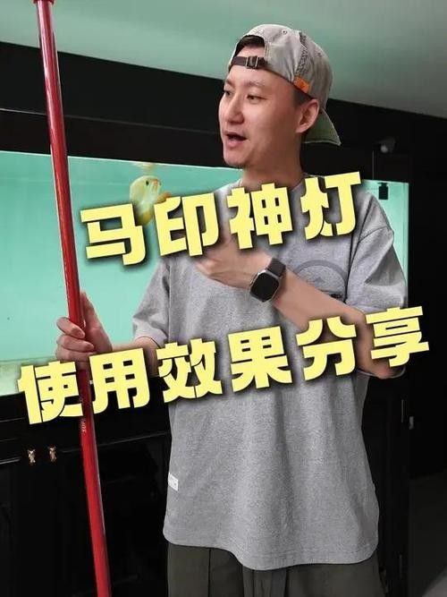 龍魚燈有哪些品牌推薦？