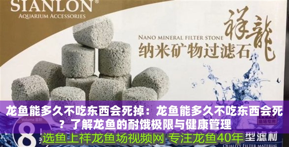 龍魚能多久不吃東西會死掉：龍魚能多久不吃東西會死？了解龍魚的耐餓極限與健康管理