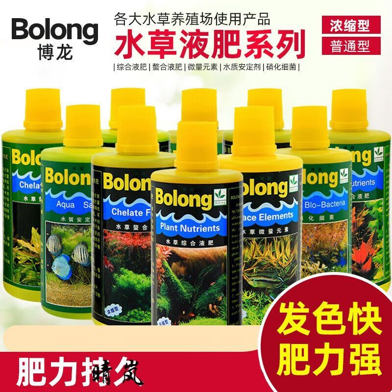 龍魚可以養在臥室嗎：龍魚養在臥室時需要考慮到水質、水溫和空間的要求